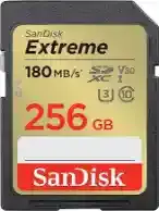 256GB SD Card